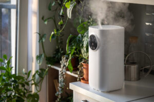 Dehumidifiers x